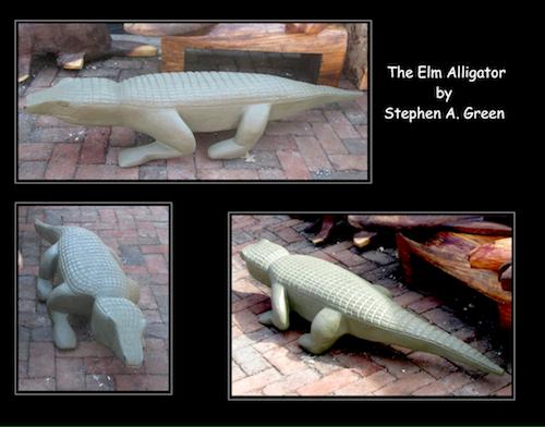 Alligatora